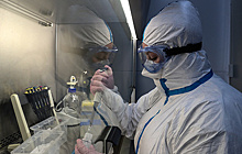 В Японии впервые выявили очаг заражения "британским" штаммом коронавируса