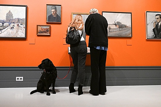 В музеи Москвы будут пускать с питомцами, для них появятся специальные зоны