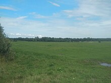 Спустя почти месяц ООО "ТСАХ" завершило генеральную уборку на поле "Нашествия"