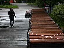 МЧС предупредило москвичей о сильном ветре