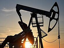 Минэнерго: экспорт нефти из России в Китай превысит 100 млн тонн к концу 2023 года