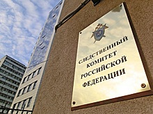 Следователи начали проверять жалобы россиян Путину
