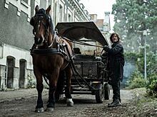 Названа дата премьеры сериала «Ходячие мертвецы: Дэрил Диксон»