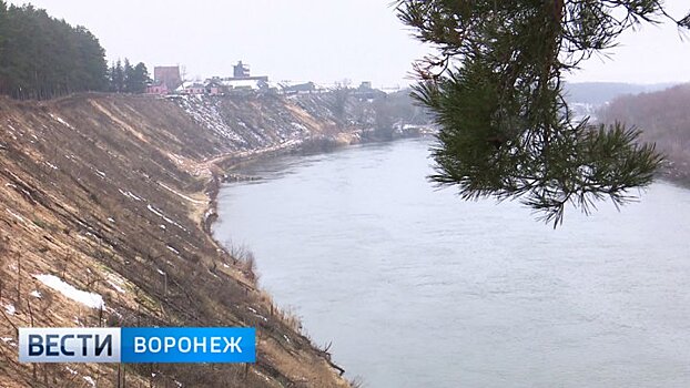 В Воронежской области завершён первый этап работ по укреплению берега Дона