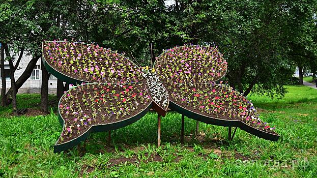 Цветник в виде бабочки обновили в Вологде
