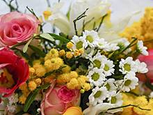 Почему 10 сентября во всем виноват Большой адронный коллайдер