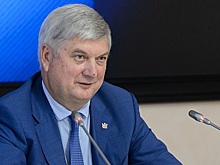 Губернатор Воронежской области вручил награды в честь Дня строителя