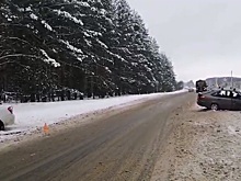 Семь человек пострадали в ДТП в Кулебакском районе