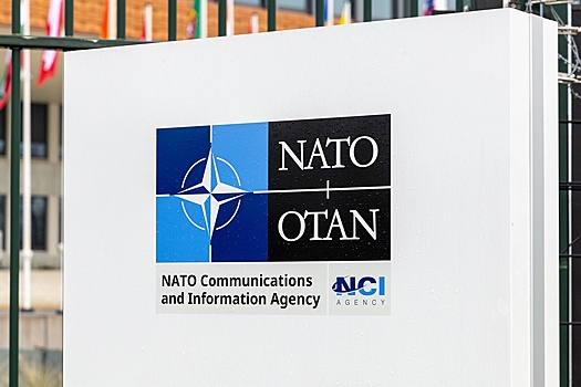 Politico: НАТО пытается вмешаться в мирные переговоры России и США по Украине