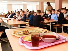 Родители смогут контролировать питание детей в школе