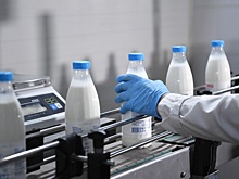Борьбу с молочным фальсификатом в России ужесточат