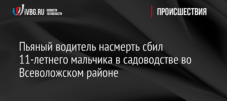 Пьяный водитель насмерть сбил 11-летнего мальчика в садоводстве во Всеволожском районе