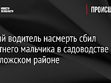 Пьяный водитель насмерть сбил 11-летнего мальчика в садоводстве во Всеволожском районе
