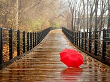 Прогноз погоды в Карелии на завтра, 17 сентября