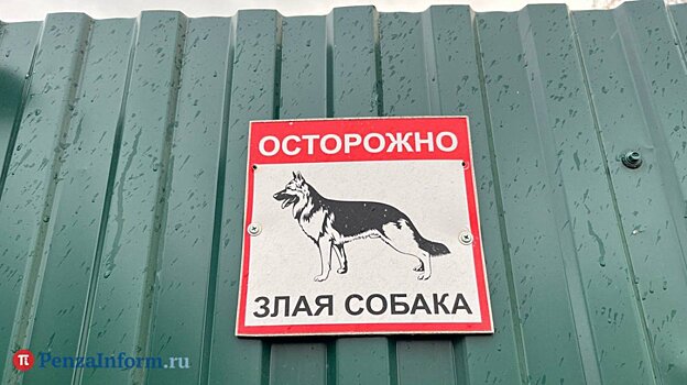 В Кузнецке на детей бросаются чипированные собаки