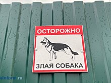 В Кузнецке на детей бросаются чипированные собаки