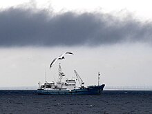 Российский кабель связи был поврежден в Финском заливе