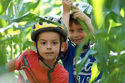 Для детей из Бибирева летом будут работать два бесплатных лагеря