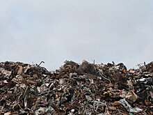 Гостю программы на «России-1» начали «затыкать рот» после упоминания о протестах против подмосковных свалок