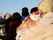 В Киеве признали "позорный провал" Украины