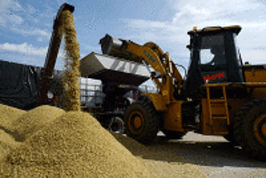 Минсельхоз сообщил об урожае зерна на 126 миллионов тонн
