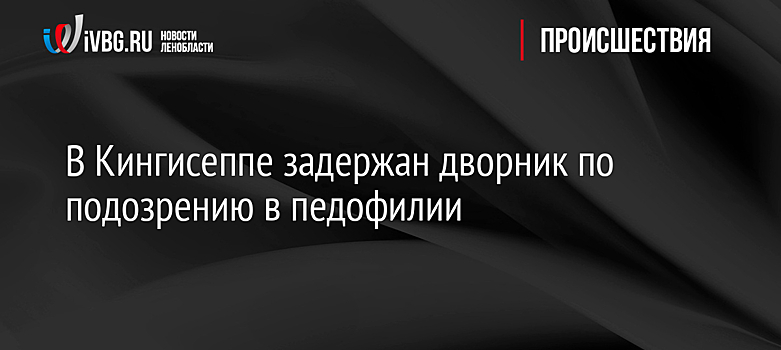 В Кингисеппе задержан дворник по подозрению в педофилии