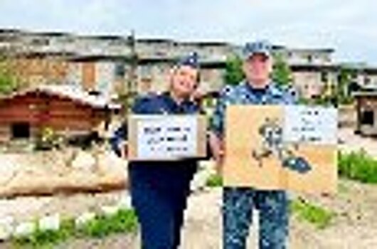 Сотрудники УФСИН России по Псковской области оказали помощь приюту для бездомных животных «Лесопилка»