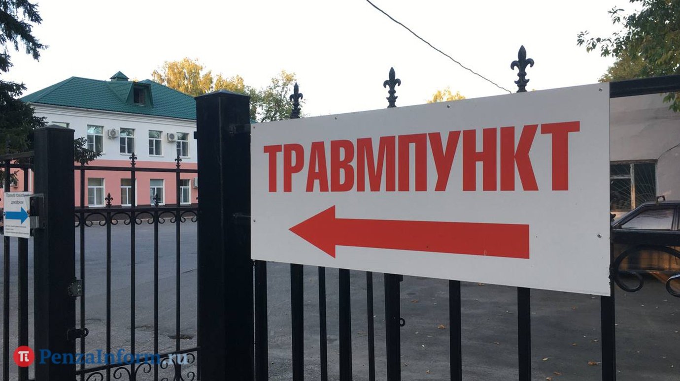 Пензенцу присудили 40 000 рублей после нападения алабая