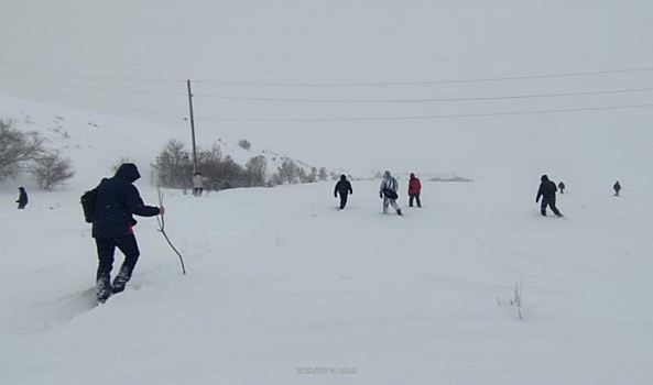 В Волгограде волонтеры, ищущие 15-летнюю девочку, просят автомобилистов проверить видеорегистраторы