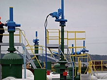 В Москве ответили на предложение Минска по транзиту нефти по «Дружбе»