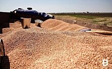 Аграрии Татарстана собрали 3,8 млн тонн зерновых