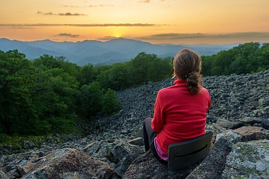 Сочинский национальный парк занял первое место по популярности в России