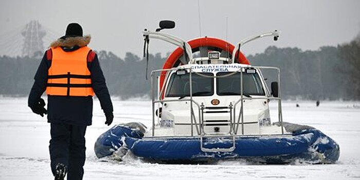 Спасатели вытащили из пруда в ВАО провалившегося под лед мужчину