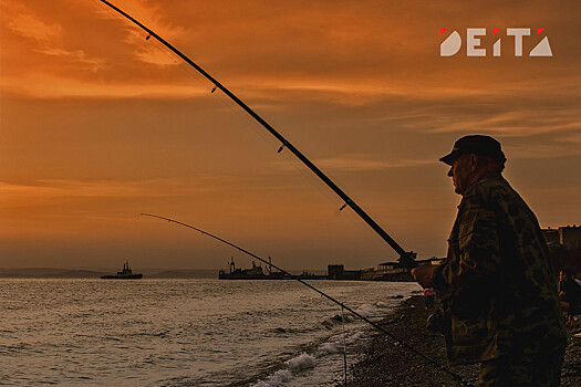 Все рыбаки-любители должны знать: что можно и нельзя ловить в Приморье - штрафы