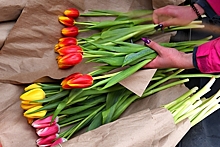 В России спрогнозировали рост цен на цветы к 8 марта