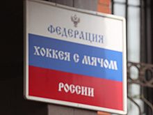 Федерация хоккея с мячом России в марте проведет аудит организации