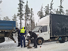 В Ханты-Мансийском автономном округе - Югре госавтоинспекторы пришли на помощь водителю сломавшегося автомобиля