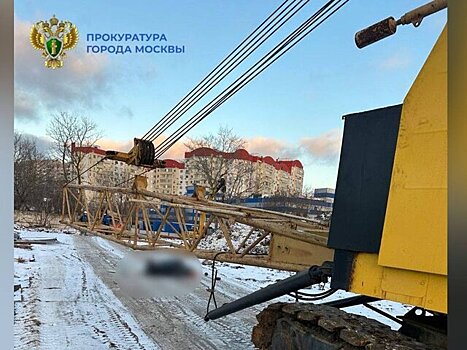 Рабочий в Москве погиб после падения на него стрелы строительного крана