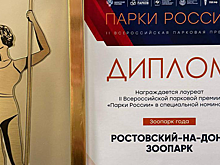 Двум разведчикам из Тувы посмертно присвоили звание Героя ДНР
