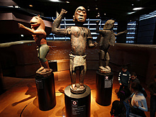 "Франция зажгла искру": феномен реституции — всемирное движение?