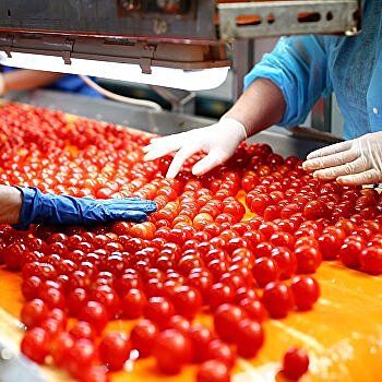 Одесситов предупредили об опасных для здоровья помидорах