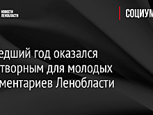 Прошедший год оказался плодотворным для молодых парламентариев Ленобласти