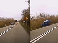 Олень сбил в кювет легковушку в Польше