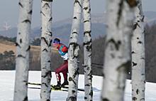 Лыжники подарили России еще одно олимпийское «серебро»