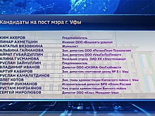 Почти 30 кандидатов претендуют на должность мэра Уфы