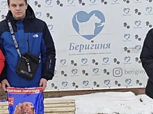 Студенты Красногорского колледжа собрали для приюта корм и медикаменты