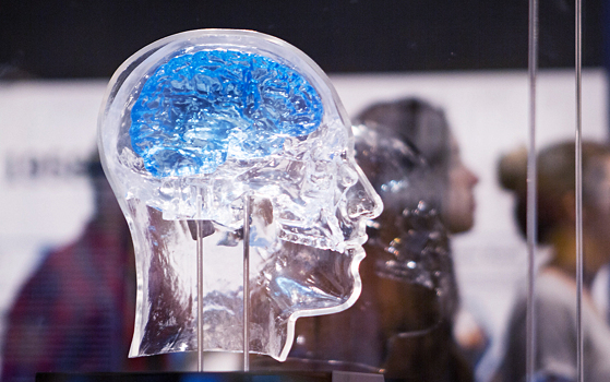 Как работает мозг: 150 лет нейронауки