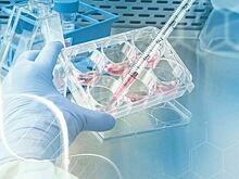 Зачем нужна услуга геномной регистрации, рассказали эксперты