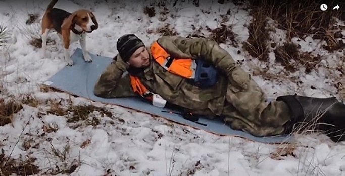 Опубликовано видео тренировки поисковых собак в Нижегородской области
