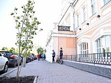 500 деревьев будет высажено в Вологде в этом году